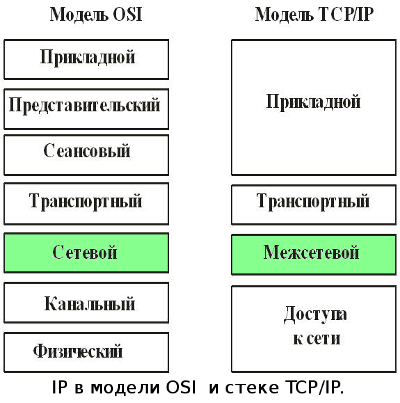 IP в модели OSI и стеке TCP/IP.