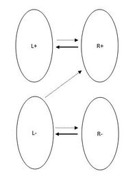 Доли [math]L^+, L^-, R^+, R^-[/math] и ребра между ними.