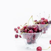 Poisson cherry.jpg