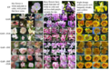 Сгенерированные изображения цветов