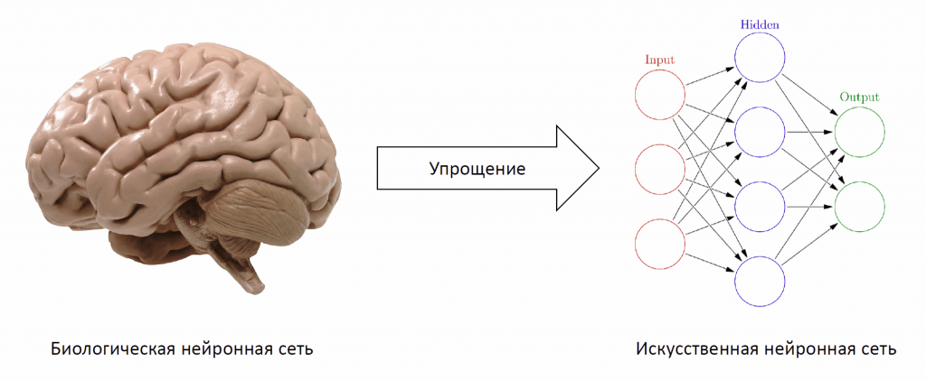 Что такое нейронная сеть ворда