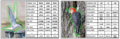 Birds annotations.png