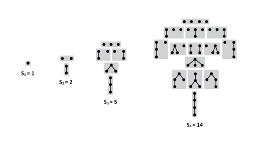 Sequence of rooted Trees.png